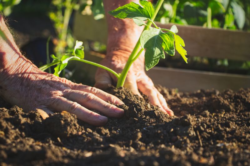 Greenery Planting in Honolulu, HI