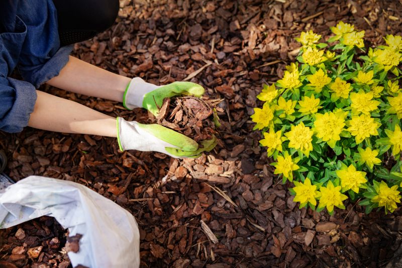 Mulch Application in a Garden